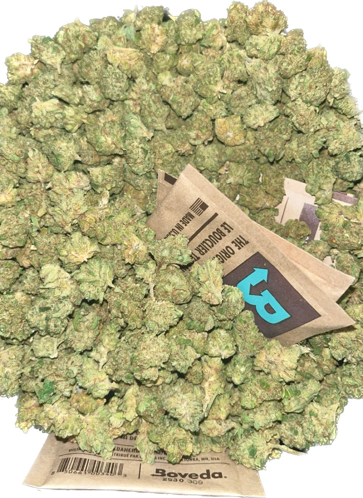 Amnesia Haze Hydro Small Bud