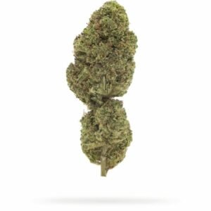 Fleur CBD Hydro Blue Dream