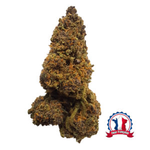 Fleur CBD française Pink Panther