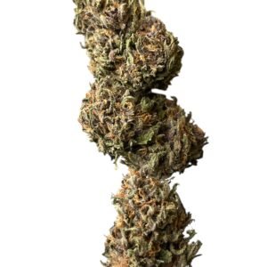 Fleur CBD française Rainbow Warrior🇫🇷