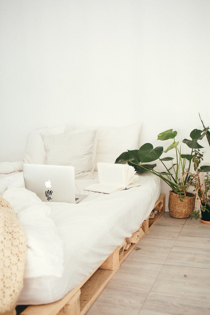 Bright cozy interior with sofa, laptop and green plants